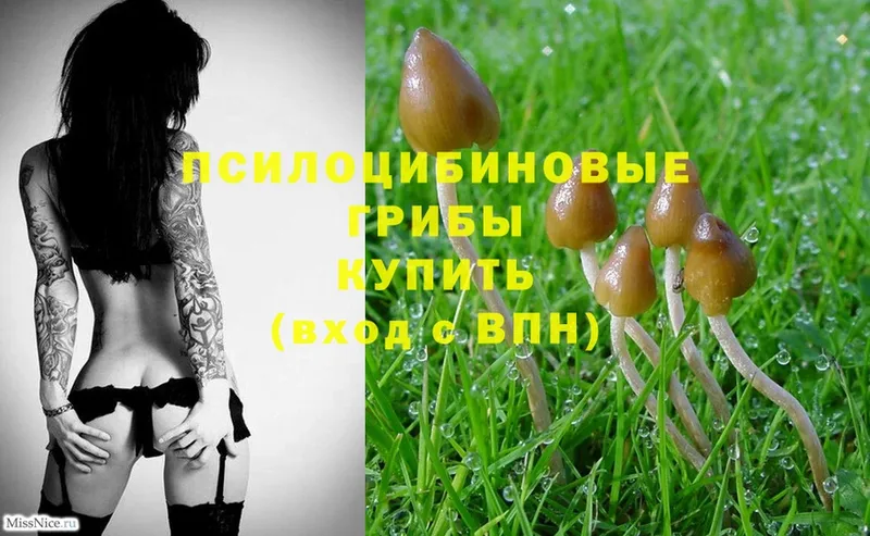 Псилоцибиновые грибы Magic Shrooms  Нариманов 